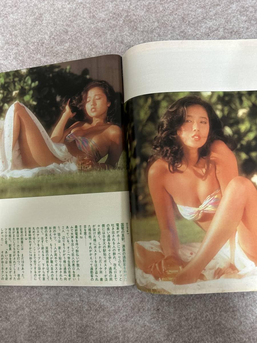 Amazon.co.jp: 週刊プレイボーイ 1981年 昭和56年9月15日 リリーズ